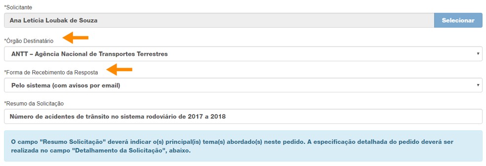 Selecione o órgão destinatário e a forma como deseja receber a resposta — Foto: Reprodução/Ana Letícia Loubak