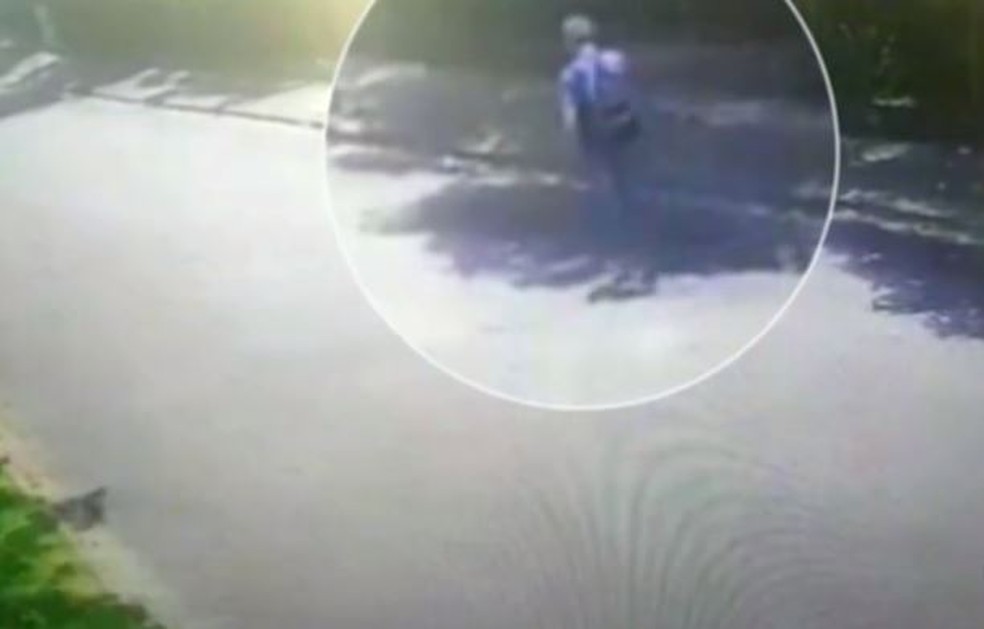 Vídeo mostra Euler Grandolpho caminhando no dia do ataque dentro da Catedral de Campinas — Foto: Reprodução/TV Globo