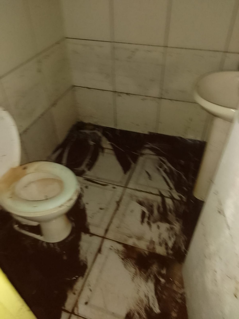 Dez fam&iacute;lias ficam desalojadas ap&oacute;s temporal alagar casas e causar estragos no Paran&aacute; &mdash; Foto: Foto cedida/Eduarda Viviane Dobrychtop