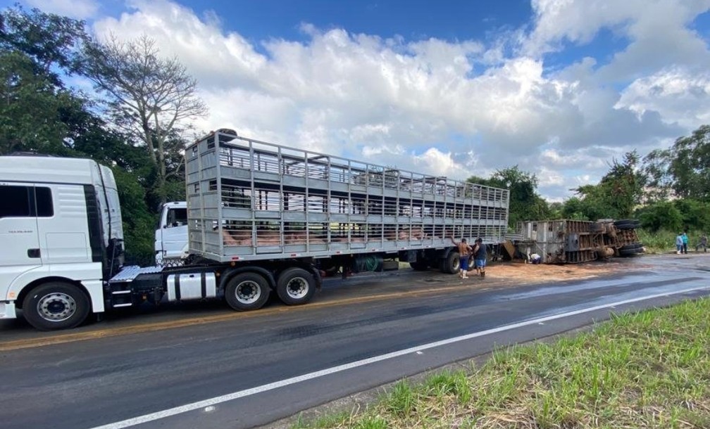 Pane mecânica provoca tombamento de caminhão que transportava 200 porcos em Fartura — Foto: Minuto do Amorim/ Reprodução 