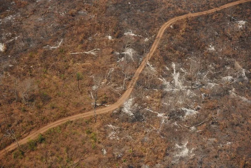 Desmatamento tem crescido no território do povo Canela, colocando a região entre as mais conflituosas do estado (Foto: Felipe Werneck/Ibama)