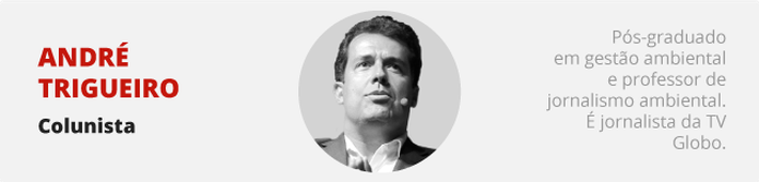 AndrÃ© Trigueiro â Foto: Arte/G1