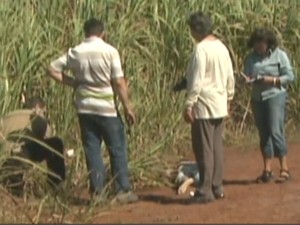 Corpo de casal morto a tiros é encontrado em canavial (Foto: Reprodução EPTV)