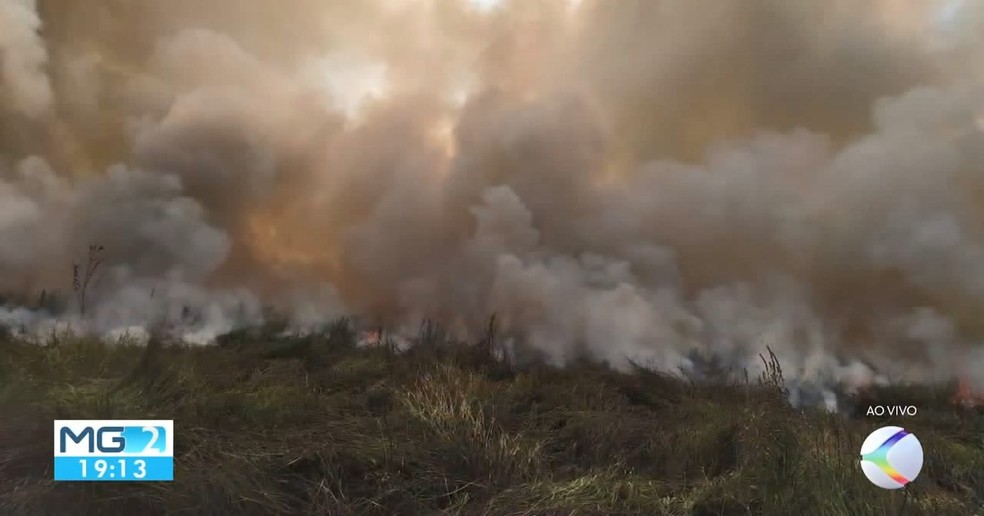Cerca de 10 hectares foram queimados — Foto: Reprodução/TV Integração
