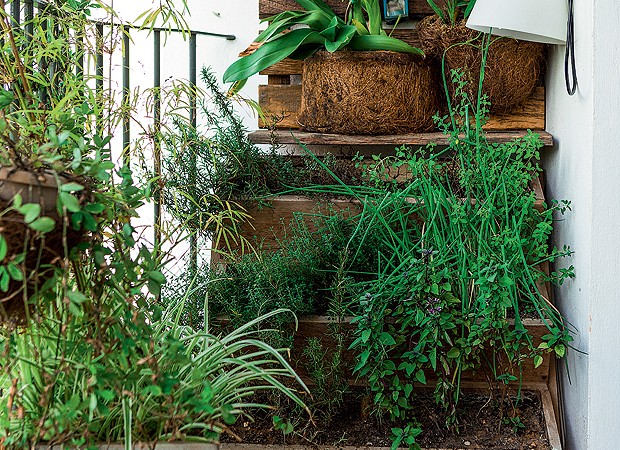 No jardim escalonado, espécies adquiridas em Holambra e vasos com temperos diversos formam a horta vertical (Foto: Edu Castello/Editora Globo)