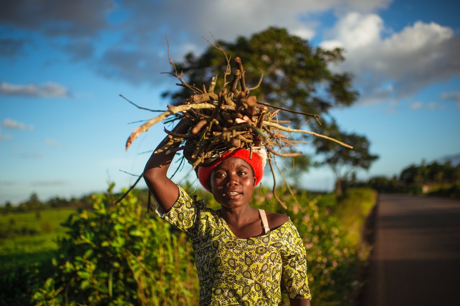 Retrato de jovem africana carregando lenha na cabeça ao lado de uma plantação de chá no Malawi.