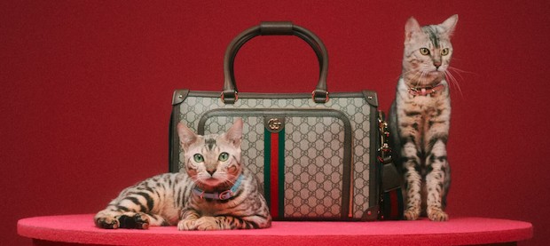 Também pode-se adquirir uma bolsa de transporte (Foto:  Max Siedentopf / Gucci / Divulgação)