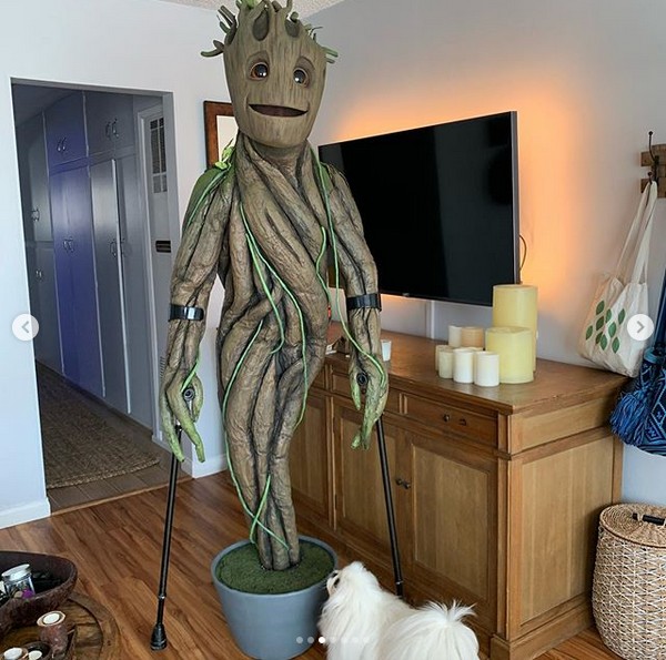 O escritor e palestrante motivacional norte-americano Josh Sundquist fantasiado como Baby Groot (Foto: Instagram)