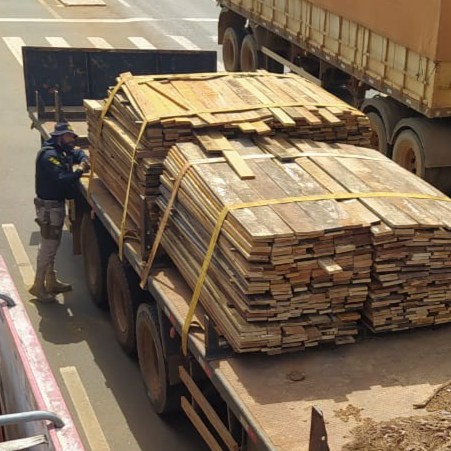 PRF apreende 180 m³ de madeira clandestina em um único dia