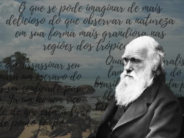 Natureza, injustiça e escravidão foram registradas por Darwin em expedições  no Brasil | Terra da Gente | G1