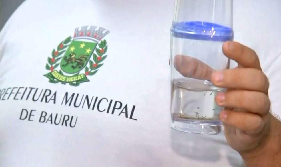 Epidemia de dengue chega a quase 20 mil casos em Bauru — Foto: TV TEM/Reprodução