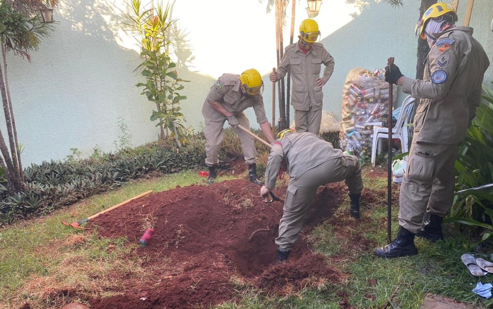 Mulher confessa ter matado marido e enterrado corpo há 2 anos no jardim de casa, em Goiânia  — Foto: Reprodução/TV Anhanguera