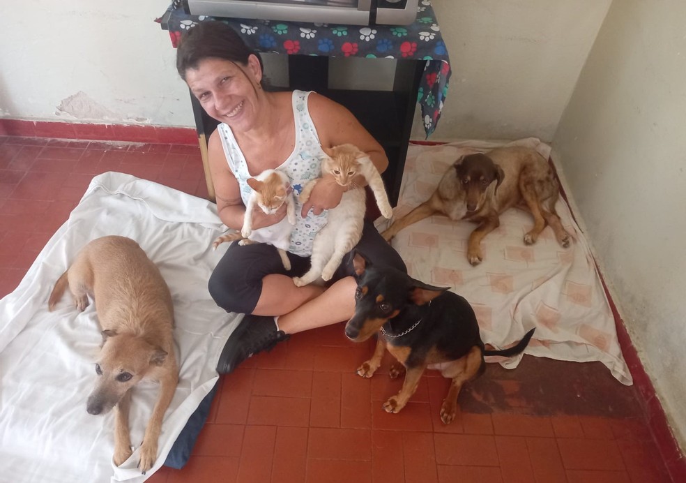 Lucineia da Silva com alguns dos cerca de 50 animais resgatado que mantém: pandemia piorou a situação do abandono e das doações — Foto: Arquivo pessoal