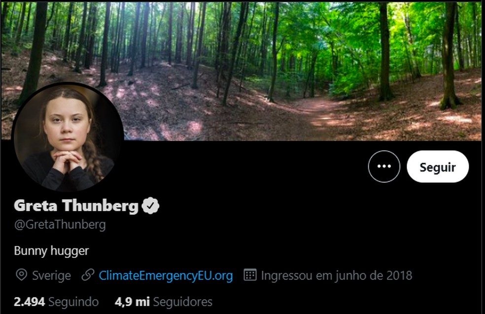 Greta Thunberg se apropria de crítica feita pelo primeiro-ministro Boris Johson  — Foto: Reprodução/Twitter