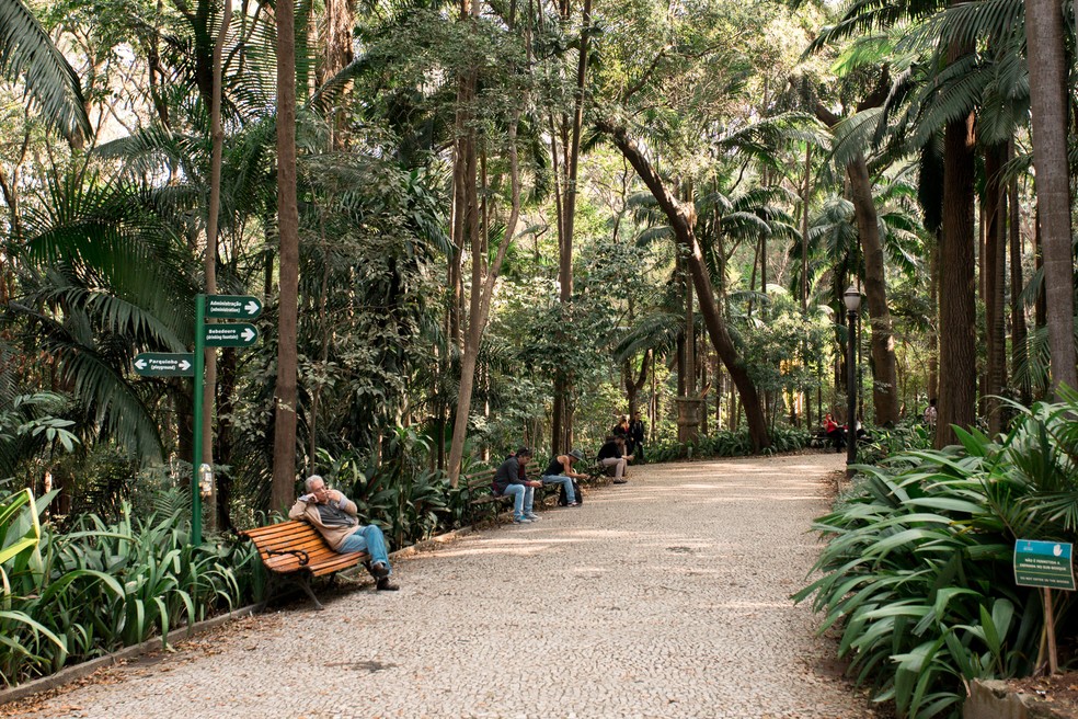 O Parque Conhecido Como Parque Trianon EDUCA