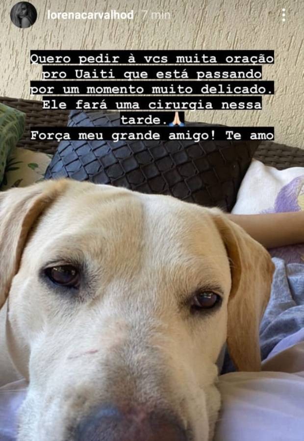 Lorena Carvalho pede orações para cachorro de estimação (Foto: Reprodução/Instagram)