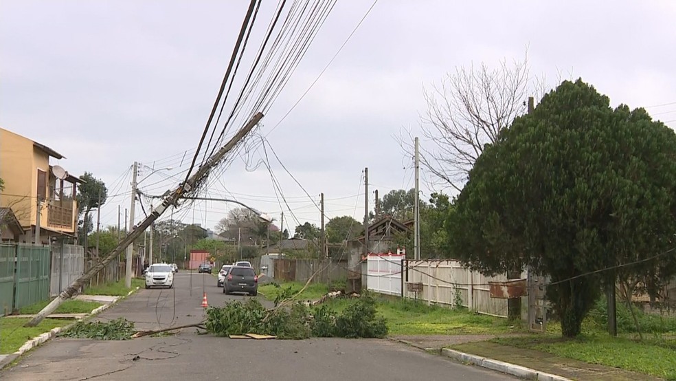 Em Gravataí, postes e árvores foram derrubados pelo temporal — Foto: Reprodução/RBS TV