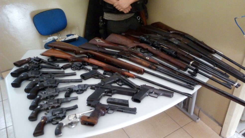 Na casa foram encontradas mais de 25 armas de fogo (Foto: Divulgação/Polícia Civil)