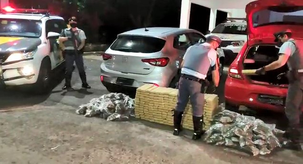 Polícia apreendeu tabletes de maconha em Castilho (SP) — Foto: Polícia Rodoviária/Divulgação