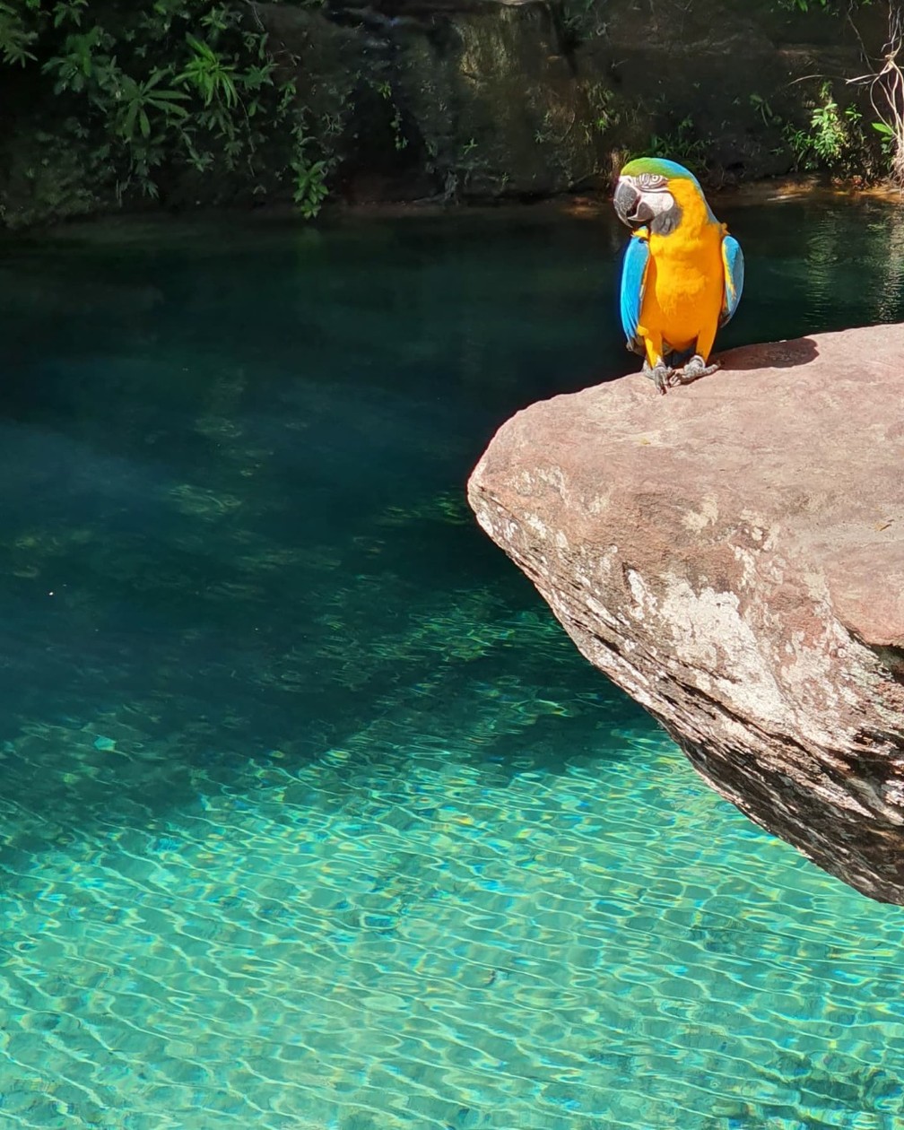 Flutuação Azul das Águas — Foto: Divulgação