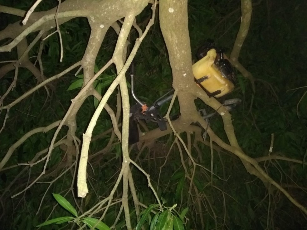 Jovem é preso após esconder objetos furtados em cima de árvore em Cerquilho (SP) — Foto: Polícia Militar/Divulgação