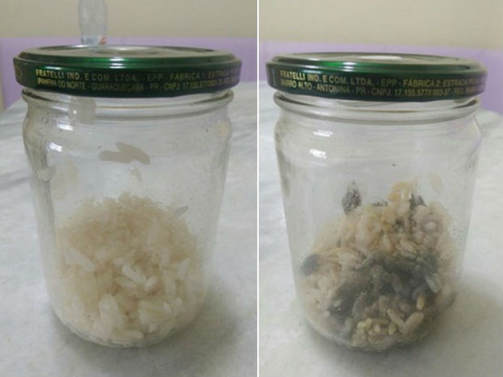 No pote 'do amor', o arroz fermentou naturalmente. No pote 'do ódio', os grãos emboloraram (Foto: Escola Atuação/Arquivo pessoal)