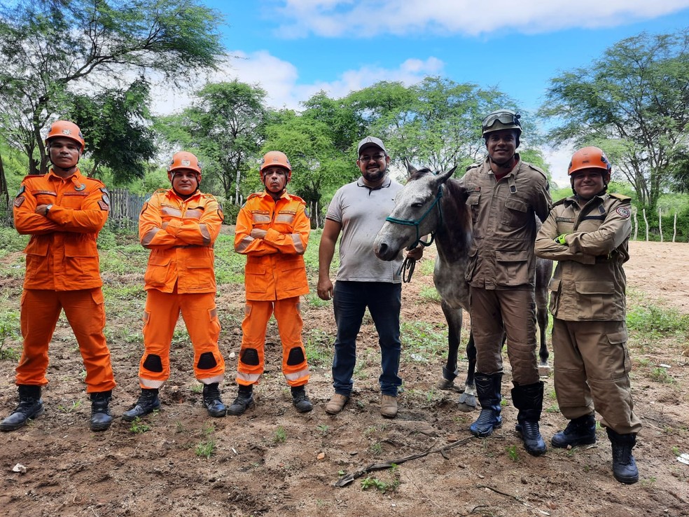 Após o resgate em um sítio na cidade de Canindé, "Lampião" foi devolvido ao tutor. — Foto: Corpo de Bombeiros/ Divulgação