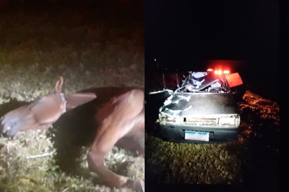 Cavalo ficou ferido no acidente em Araçatuba e carro ficou destruído — Foto: Polícia Militar Rodoviária/Divulgação