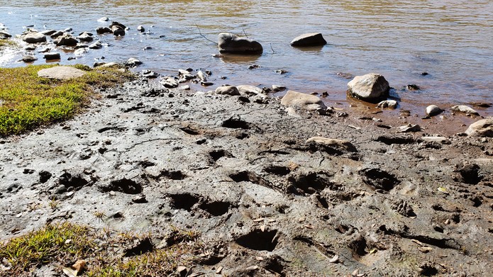 Resultado de imagem para Níquel e arsênio são detectados na água do Rio Paraopeba, entre Pará de Minas e Pompéu