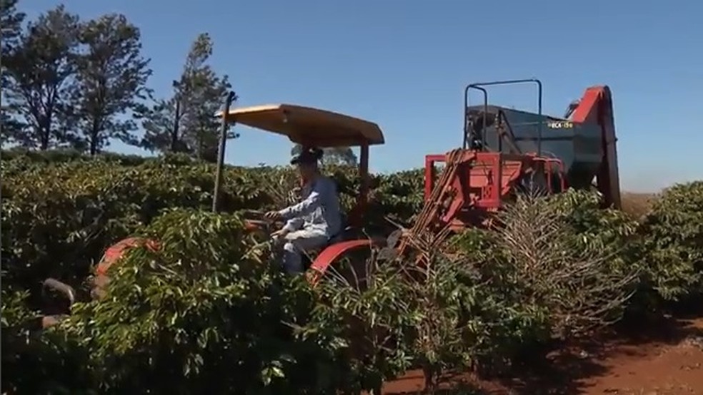 Produtores de café investem em máquinas nas lavouras — Foto: Reprodução/RPC
