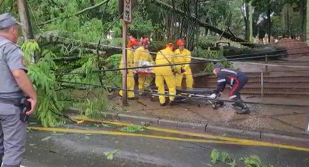 Mulher é socorrida após queda de árvore em São Carlos — Foto: TVE São Carlos
