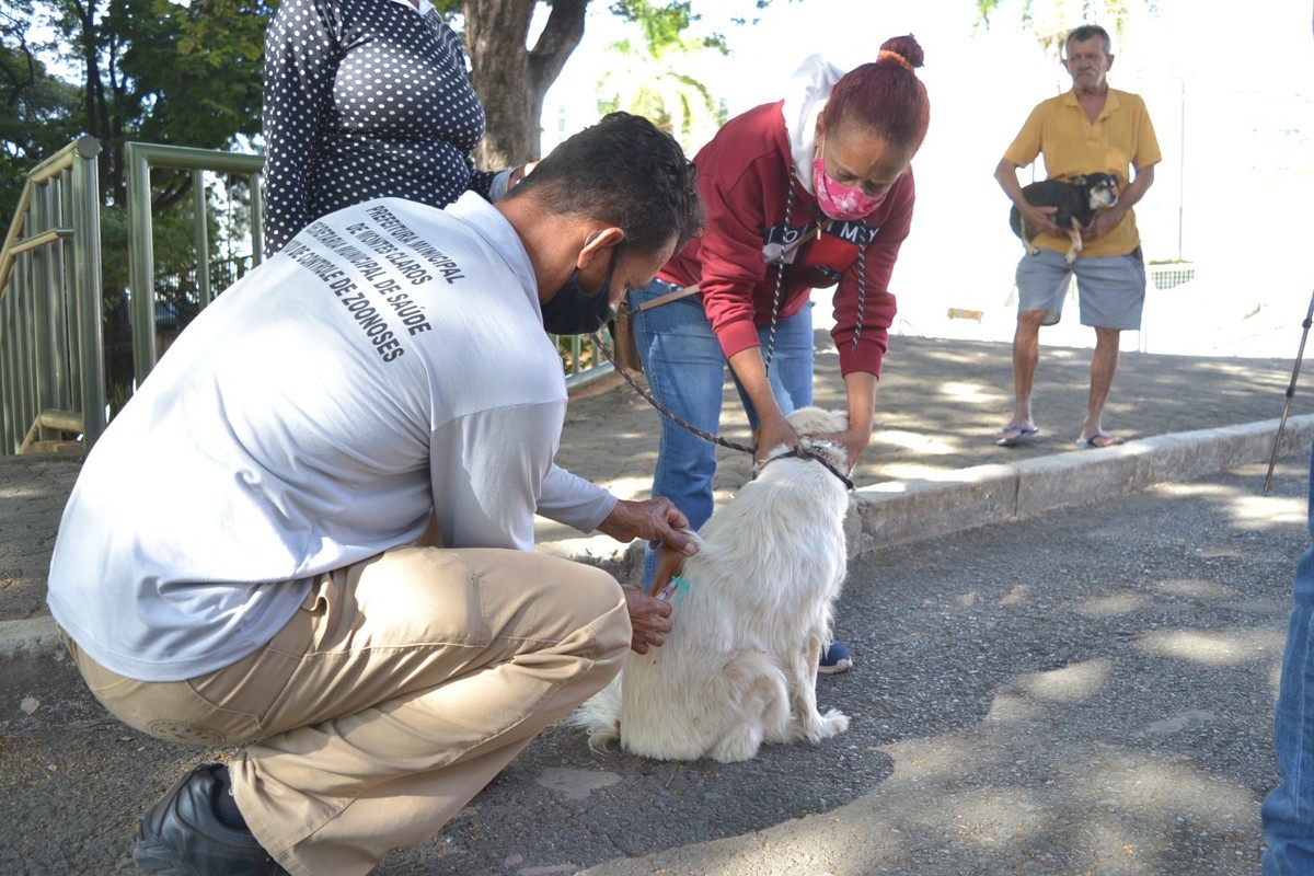 Raiva: Aplicação da vacina nos postos montados no Santa Rita e na prefeitura, em Montes Claros, vai até a tarde desta sexta (24)