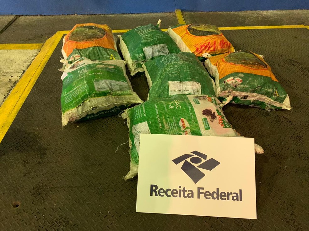 Sete sacos com tabletes de cocaína estava escondidos em carga de açúcar no porto — Foto: G1 Santos