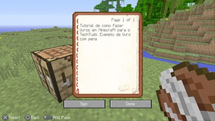 Você pode escrever o que quiser no seu próprio livro de Minecraft (Foto: Reprodução/Rafael Monteiro)