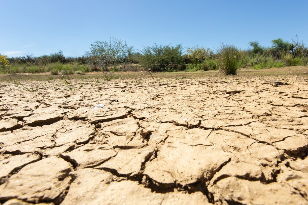 O solo argiloso, típico do semiárido brasileiro, racha quando seca. — Foto: Celso Tavares/G1