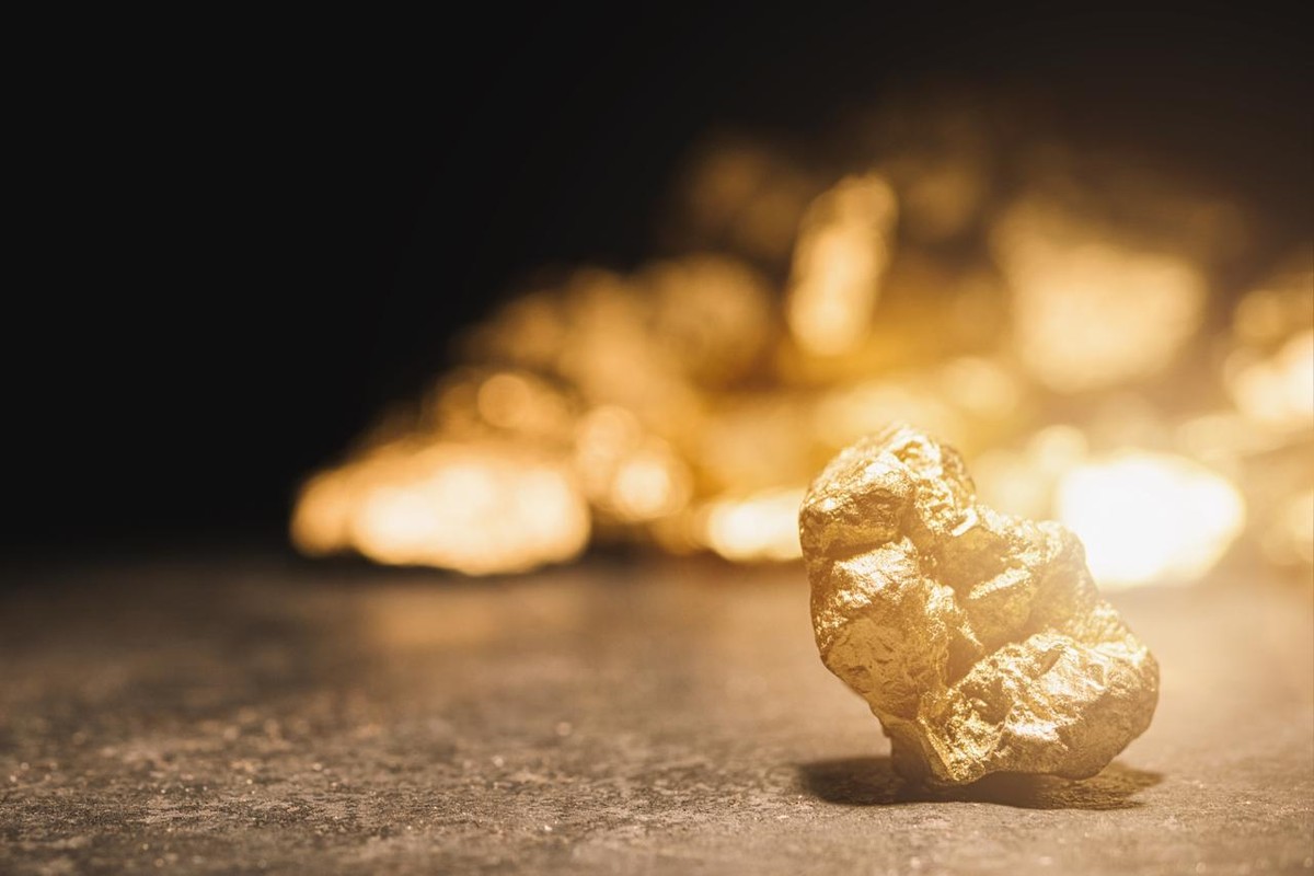 Debate symposium on the commercialization of gold in Belém |  For