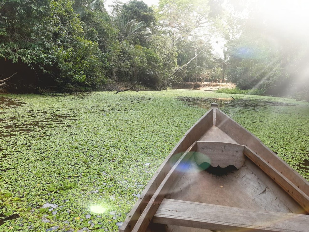 Rio Croa é conhecido pelo 'tapete verde' — Foto: Tácita Muniz/G1