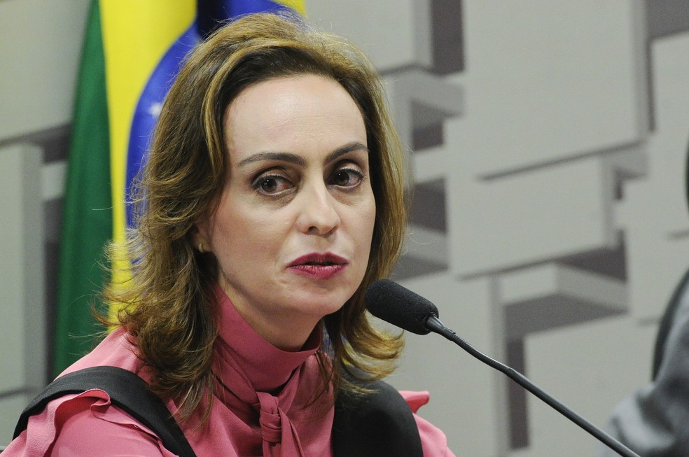 Carolina Barros durante sabatina na Comissão de Assuntos Econômicos do Senado (Foto: Geraldo Magela/Agência Senado)