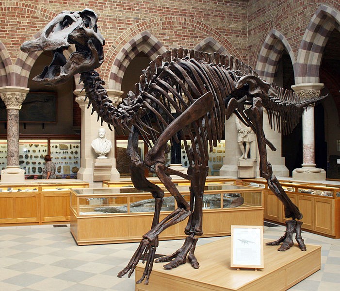 Antigo Pangolim Hadrosaur. Dinossauro Herbívoro Do Período