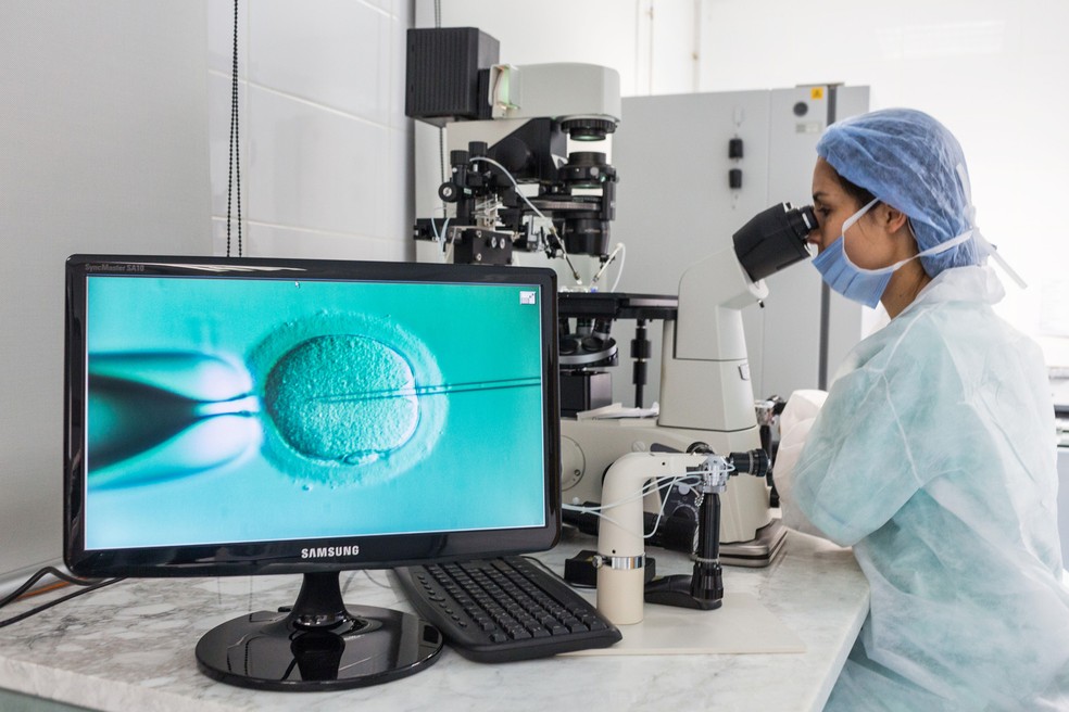 Técnica usando um microscópio de luz para injetar esperma em um óvulo durante a fertilização in vitro.  (Foto: Arquivo / Burger / Phanie / via AFP Photo)