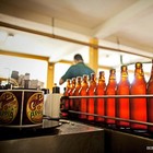 Gosto brasileiro ganha espaço o mercado da cerveja (Colorado/Divulgação)