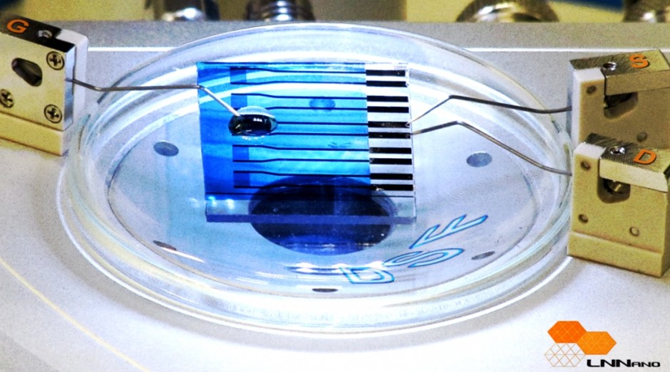 Biossensor portátil e de baixo custo foi desenvolvido por pesquisadores do Laboratório Nacional de Nanotecnologia com apoio da FAPESP (Foto: Divulgação)