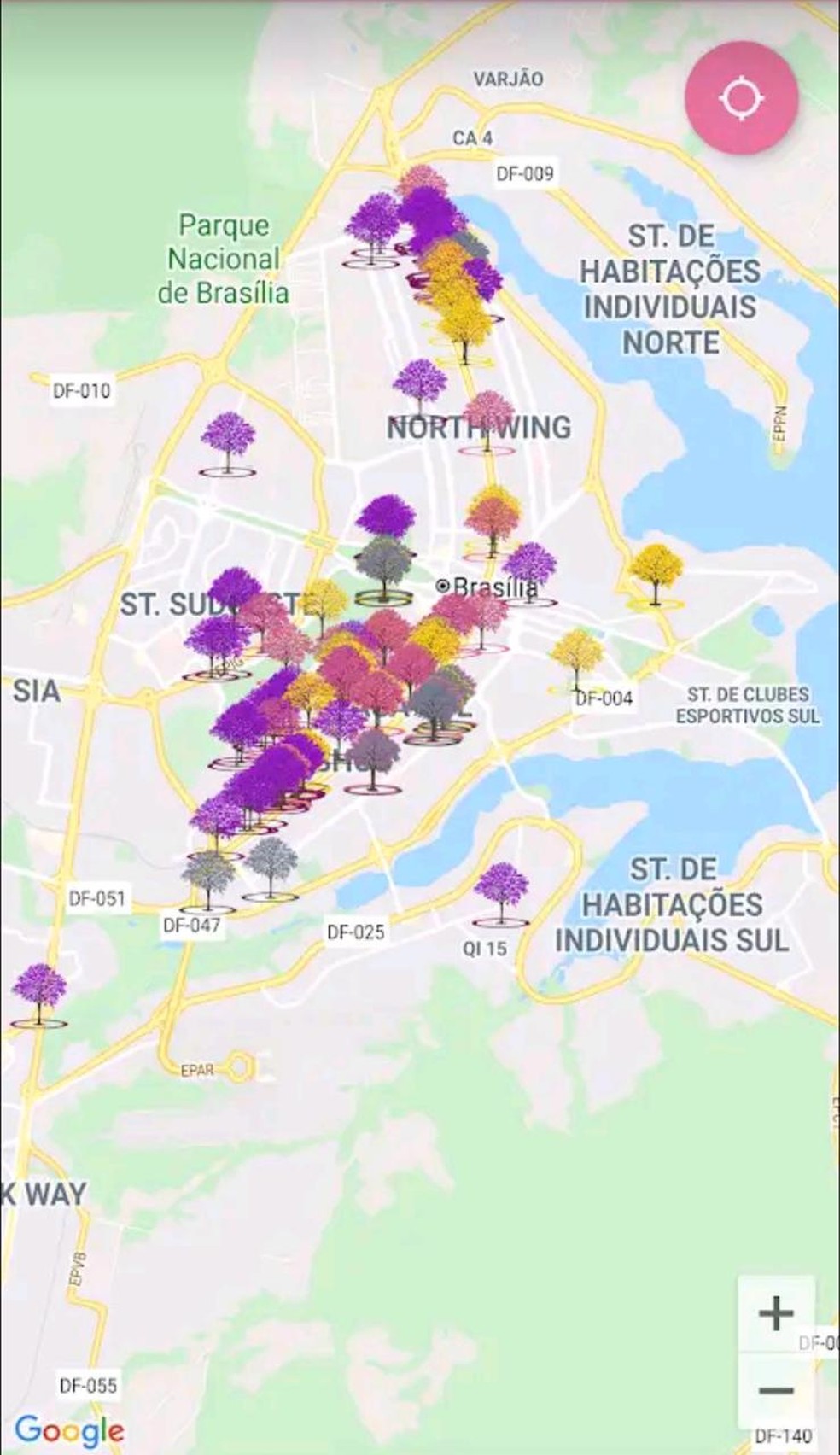 Aplicativo mapeia ipês de Brasília — Foto: App Ipê / Reprodução