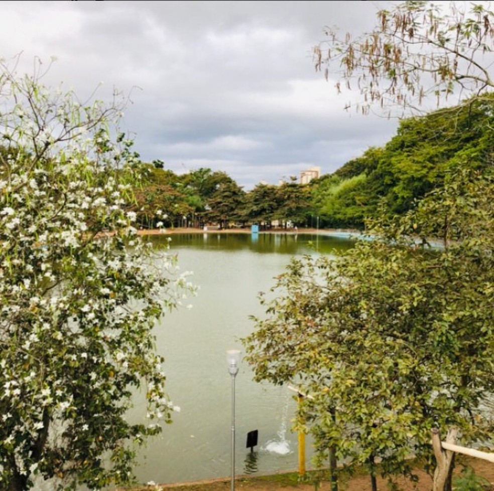 Parque do Mocambo, em 2019 — Foto: Redes Sociais