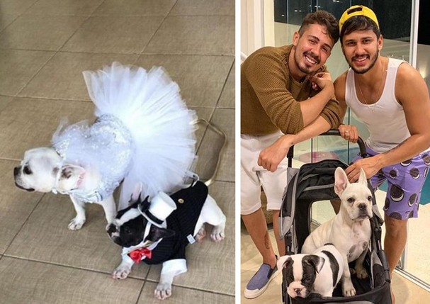 Vestidos de noivos, cachorros de Carlinhos Maia e Lucas Guimarães roubam a cena em casamento (Foto: reprodução/Instagram)