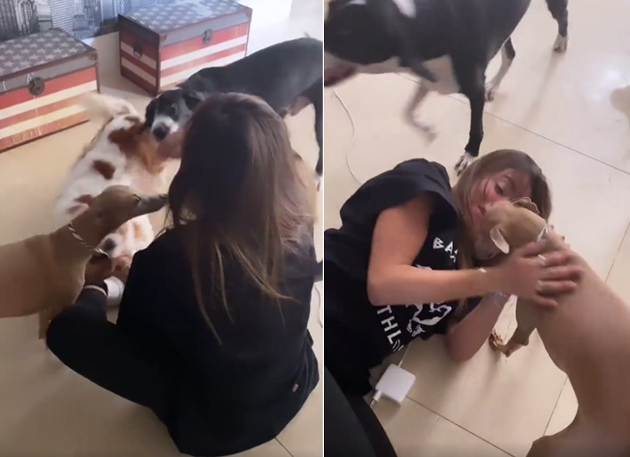 Anitta é recebida com festa pelos pets em sua casa no Rio de Janeiro (Foto: Reprodução/Instagram)
