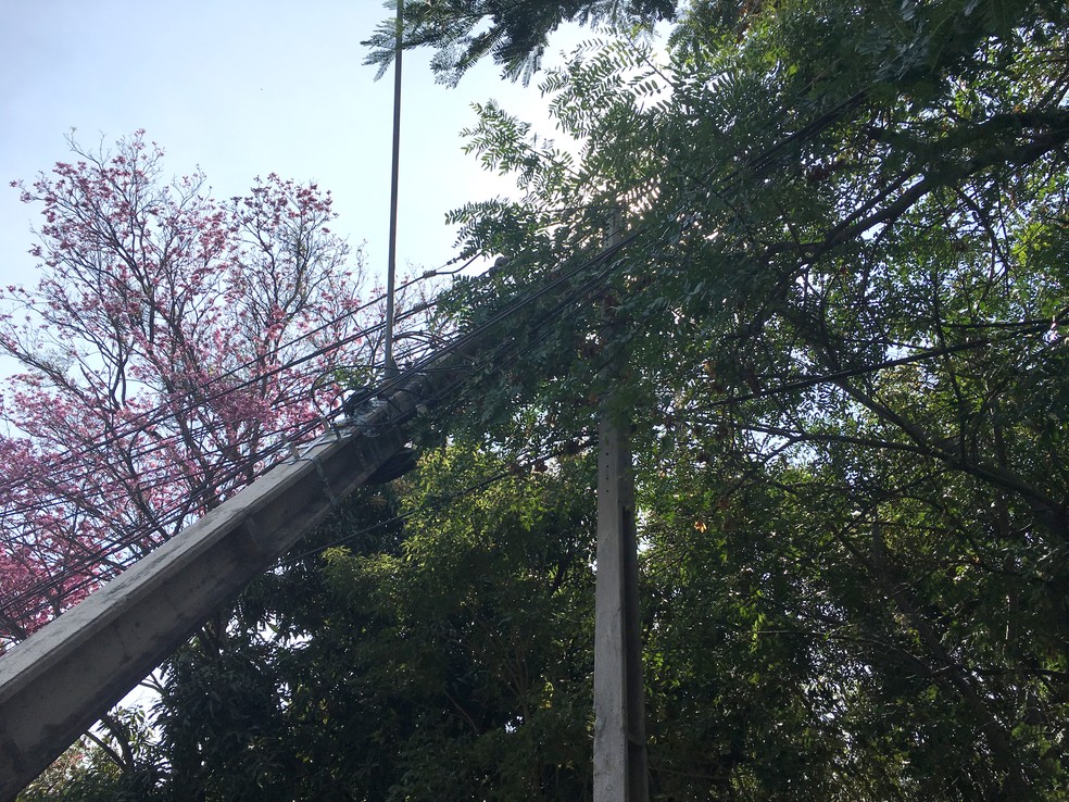 Poste ficou danificado e há necessidade de troca (Foto: Stephanie Fonseca/G1)