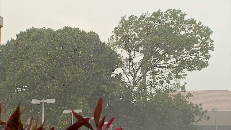Chuva em Campo Grande. — Foto: Edmar Melo/TV Morena