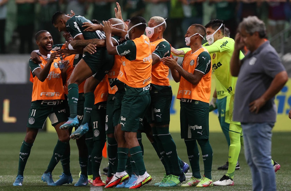 Jogadores do Palmeiras comemoram o gol de Rony contra a Ponte Preta — Foto: Cesar Greco