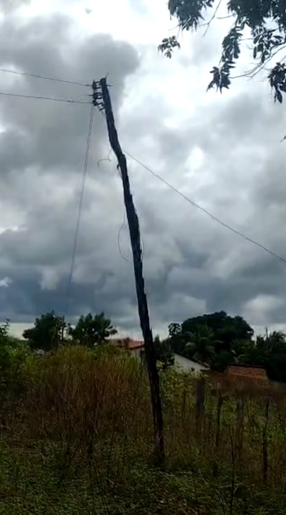 Moradores que sofrem com falta de energia elétrica há 20 anos constroem postes de madeira no Sul do Piauí  — Foto: Arquivo Pessoal